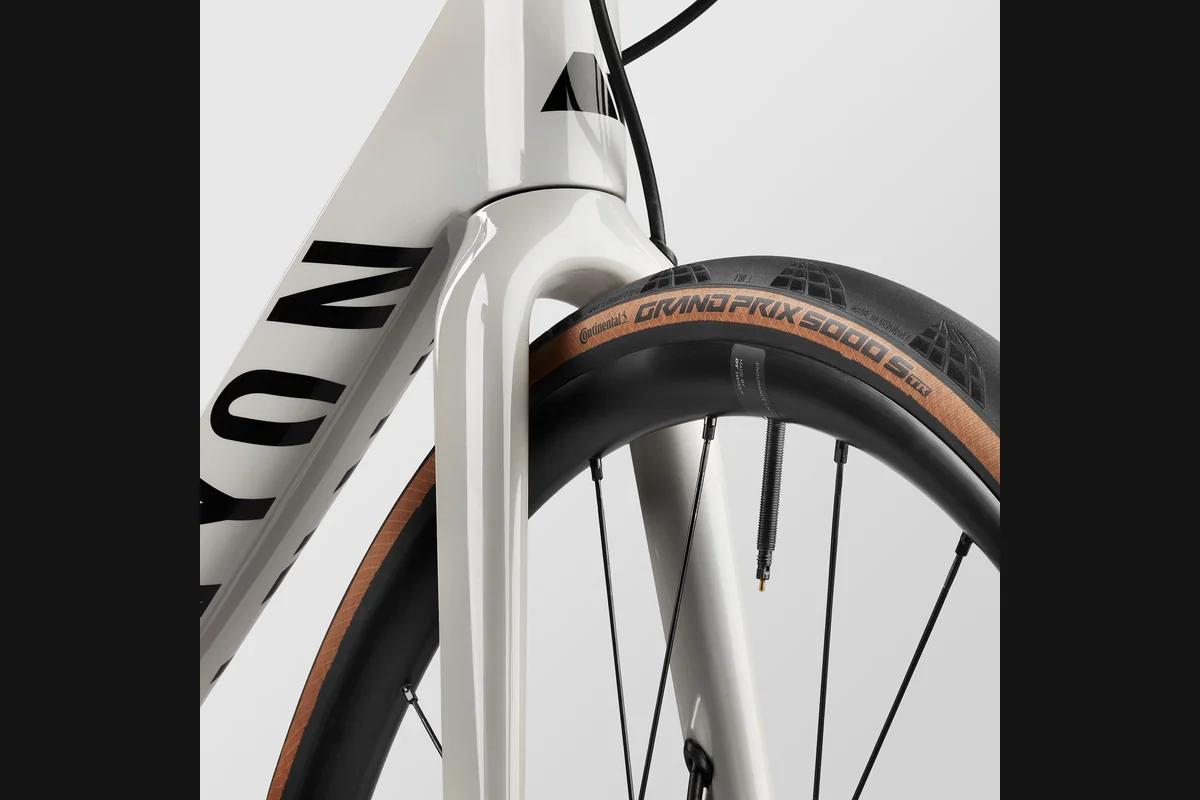 Canyon Endurace CF SL 8 Di2 Ansicht 2